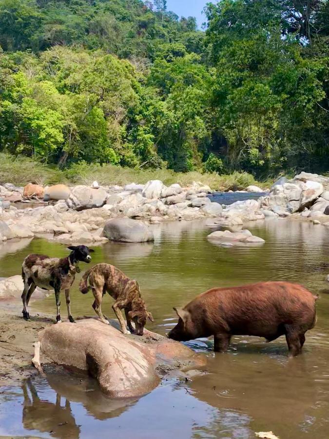 La Ponderosa Reserve Буритака Екстериор снимка