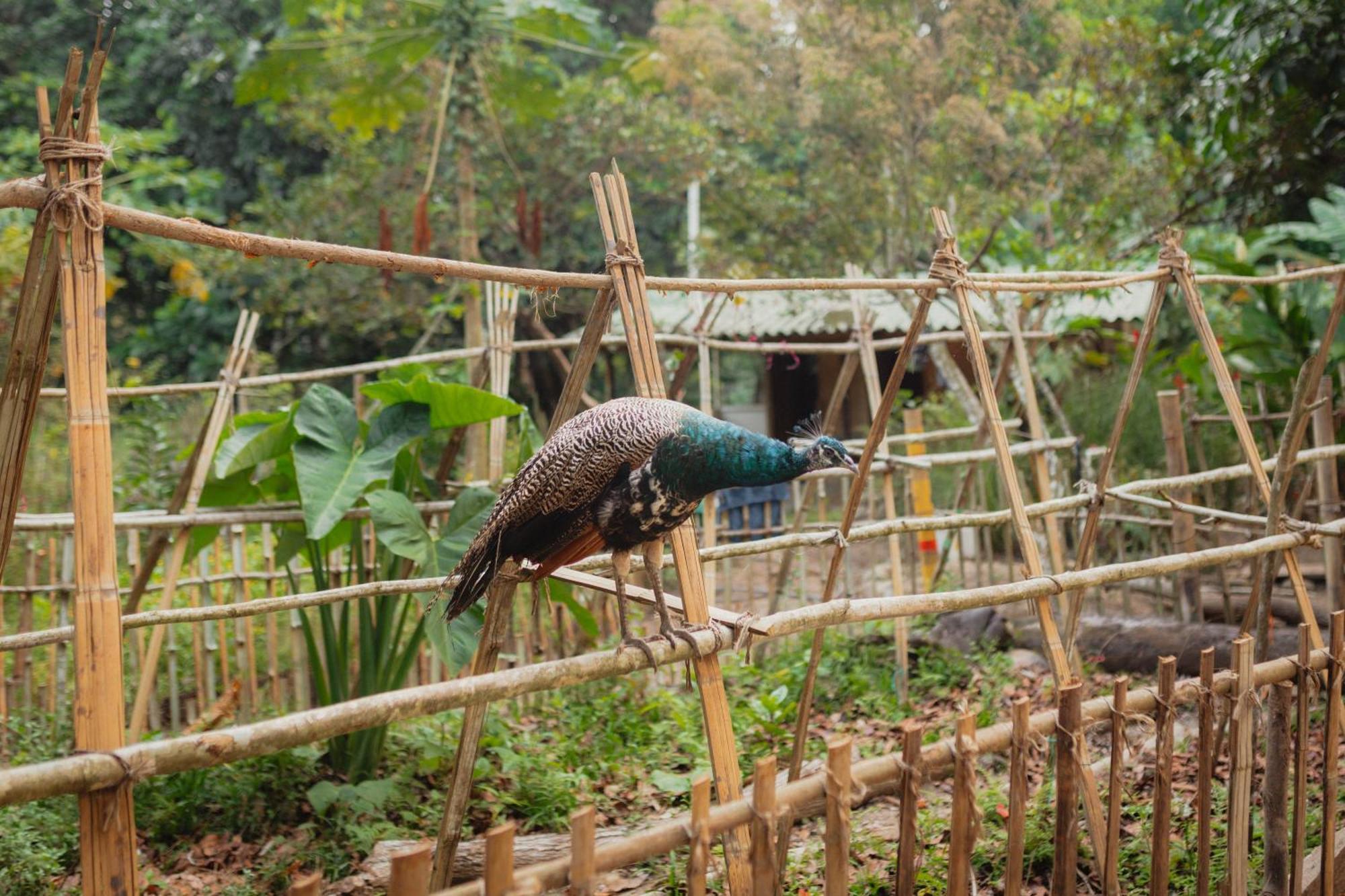 La Ponderosa Reserve Буритака Екстериор снимка